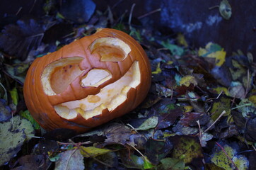old pumpkin dumped in bin for recycling