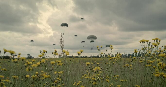 Soldiers parachute over field in Normandy, wide