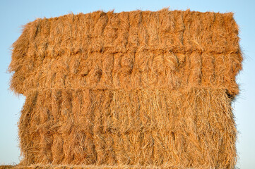Natural straw pile background