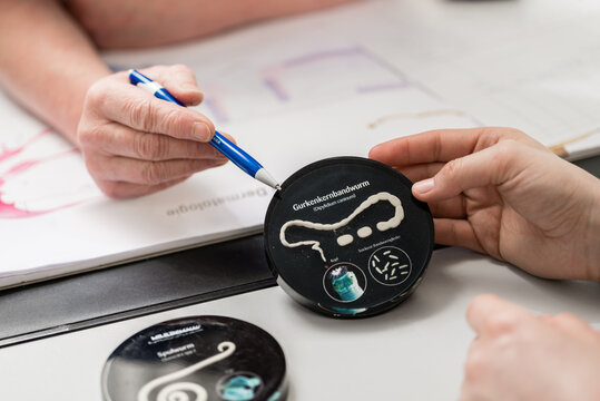 Veterinarian giving guidance regarding tapeworm disease to pet owner