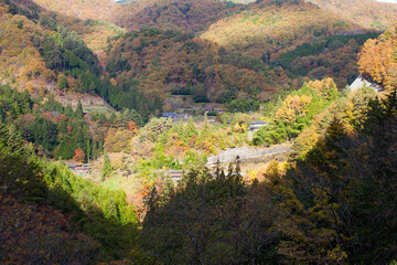 Fototapeta premium 紅葉を始めた山