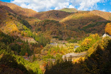 Fototapeta premium 紅葉を始めた山