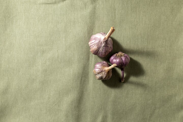 Farmer's garlic on an olive-colored linen tablecloth, place for text