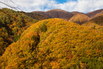紅葉を始めた山