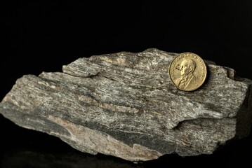 coins on a black background