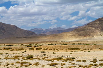 .Great Pamir Highway, desert landscape with sparse vegetation