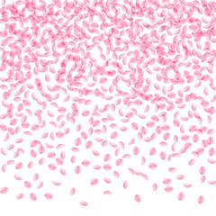 Sakura petals falling down. Romantic pink silky sm