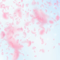 Sakura petals falling down. Romantic pink flowers 