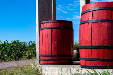 Close up of the Wine barrels wood in sun light