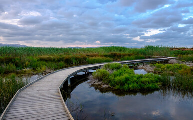 Fototapeta premium Marjal del Moro wetland nature reserve footbridges on the water in Valencia Spain albufera
