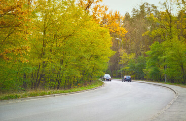 Twisting country road through deciduous autumn forest