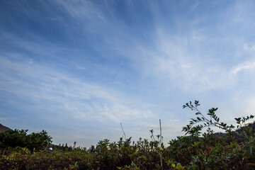 The beautiful landscape of autumn sky background blue sky and clouds.