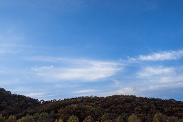 The beautiful landscape of autumn sky background blue sky and clouds.