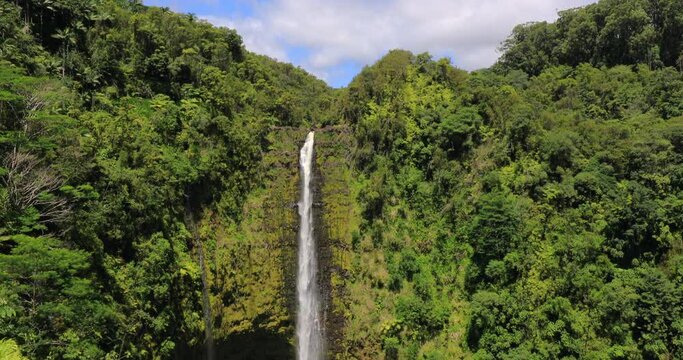 4k tilt panning down motion of Akaka Falls, Beautiful pristine nature landscape showing the famous 442 foot scenic waterfall,big island,Hawaii,USA