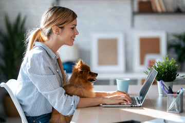 Lovely little dog looking the laptop while her beautiful owner working with him in living room at...