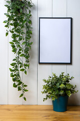 one blank black frame, an ivy and a plant pot