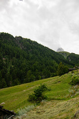 Fototapeta premium swiss nature at cloudy eather. swiss destinatons and travel idea