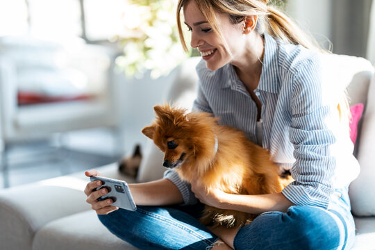 Pretty young woman with her cute dog using mobile phone while sitting on couch in living room at home.