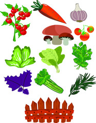 vector vegetables vegetarianism fresh drawing