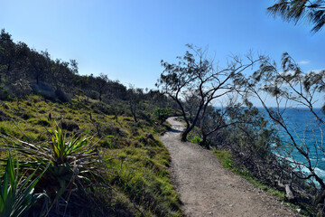 Forest way trail with an amazing ocean scenery at Noosa National Park