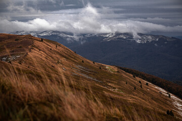 Połonina Caryńska z Tarnicą w tle, Bieszczady, Polska