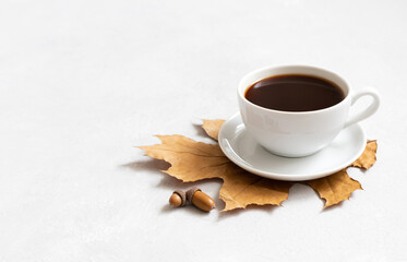 Coffee in a white cup, acorns and dry leaves. Acorn coffee on a white background. Coffee substitute concept. Space for text.