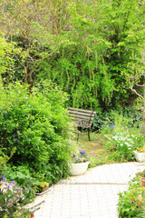 庭のアプローチ