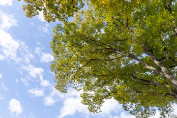 東京丸の内散策