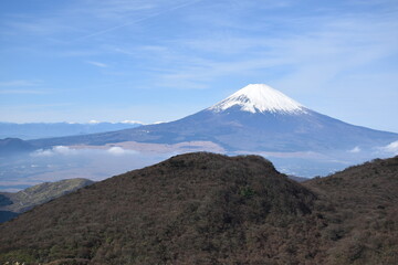 Fototapeta premium 富士山