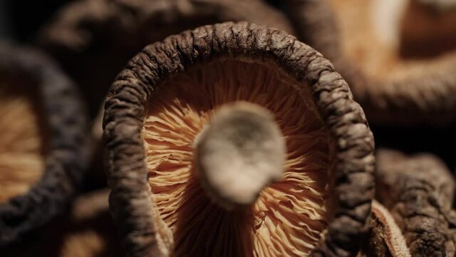 4K Close up of Shiitake mushrooms often used in Japanese and Chinese cooking. Rotating macro shot of the dried mushrooms that shows the beautiful and delicate texture of the Asian ingredient.