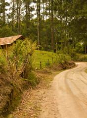 Path in the countryside