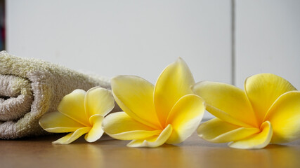 frangipani flower in spa