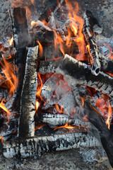 Fototapeta premium red-hot coals in the fire