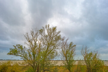 The edge of a lake in autumn colors under a blue cloudy rainy and stormy sky at fall, Almere, Flevoland, The Netherlands, November 2, 2020