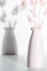 Beautiful flowers composition with shadow. Dry pink rabbit tail flower in vase against white wall with hard shadows. Floral minimal home interior design concept