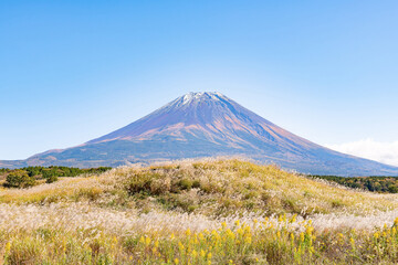 静岡県富士宮市　秋の朝霧高原とススキ野　