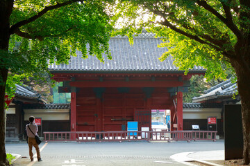 東大赤門裏側