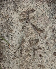 石に彫られた、日本の元号「天保」という漢字