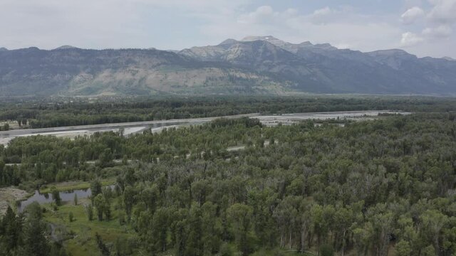 Aerial View of Green Landscape, Forest and Meadows by Snake River, Jackson Hole, Wyoming USA, Summer Under Grand Teton National Park, Drone Shot Tracking Forward Fast and Low Over the Water and Trees.