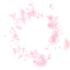 Obraz premium Sakura petals falling down. Romantic pink flowers 