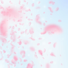 Sakura petals falling down. Romantic pink flowers 