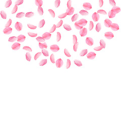 Sakura petals falling down. Romantic pink silky me