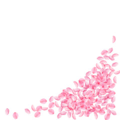Sakura petals falling down. Romantic pink silky me