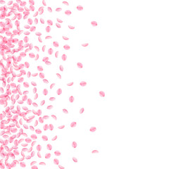 Sakura petals falling down. Romantic pink silky sm