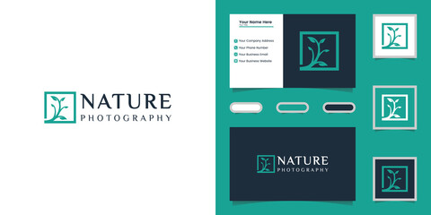 nature tree photography logo template and business card