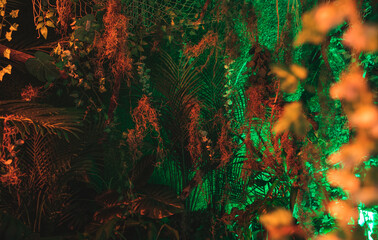 Vue d'une installation de feuilles et branches à ambiance tropicale avec lumière verte orangée