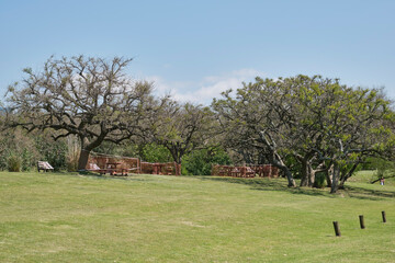 Costanera Sur ecological reserve at the time of the coronavirus pandemic, 2020