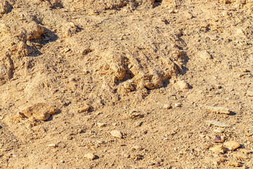 USA, CA, Death Valley National Park, October the 31 2020, rock background. 