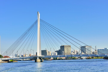 Fototapeta premium 中央大橋