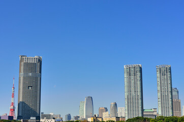 Fototapeta na wymiar 東京タワーと高層ビル